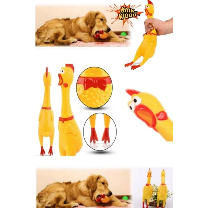 Sesli Horoz Eğlenceli Köpek ve Kediler İçin Sesli Öten Horoz Oyuncak 28 Cm