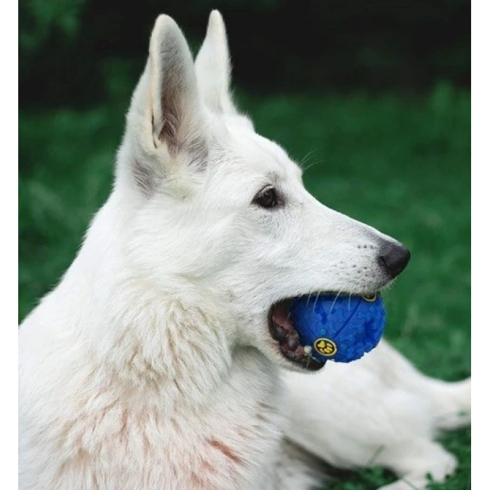 Seslı Mama Oyun Topu