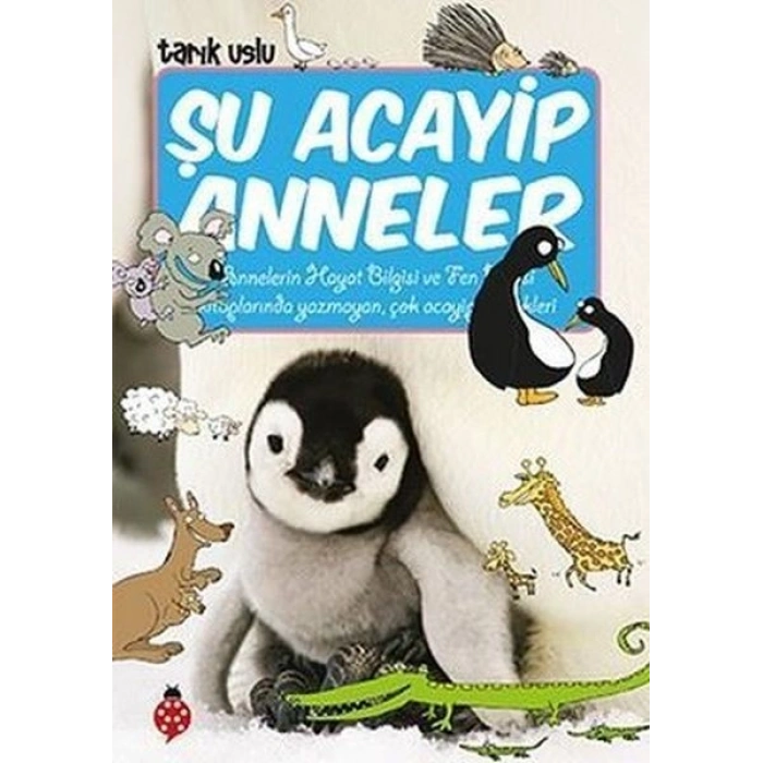 Şu Acayip Anneler