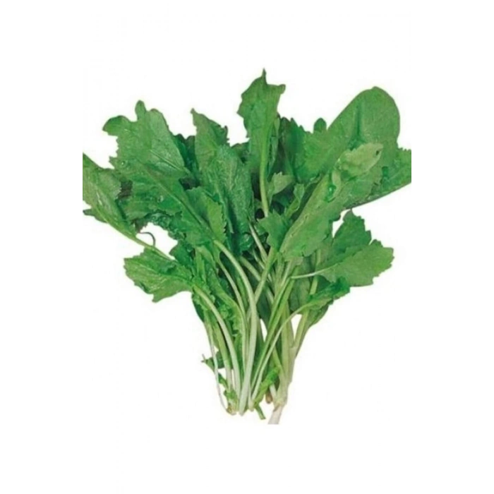 Tere Tohumu 10 Gr