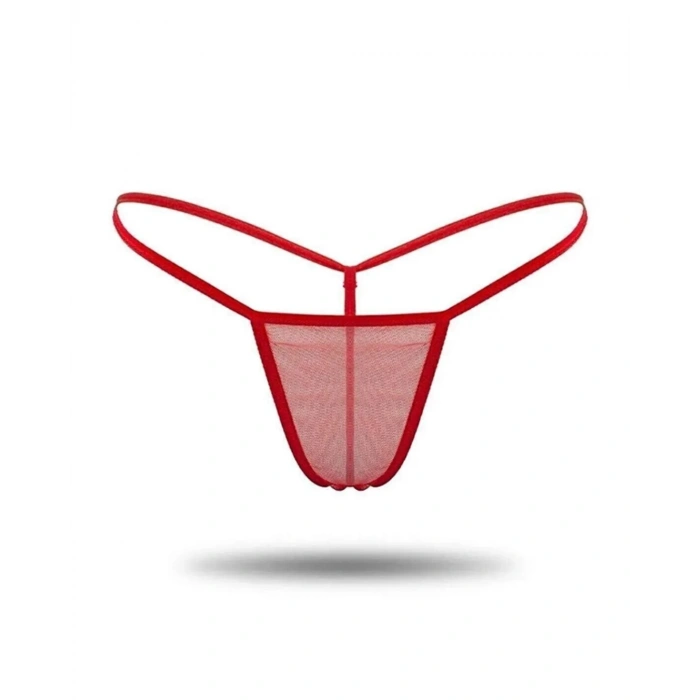  Büyük Beden Kadın 3lü Transparan Tül String TG271304-B