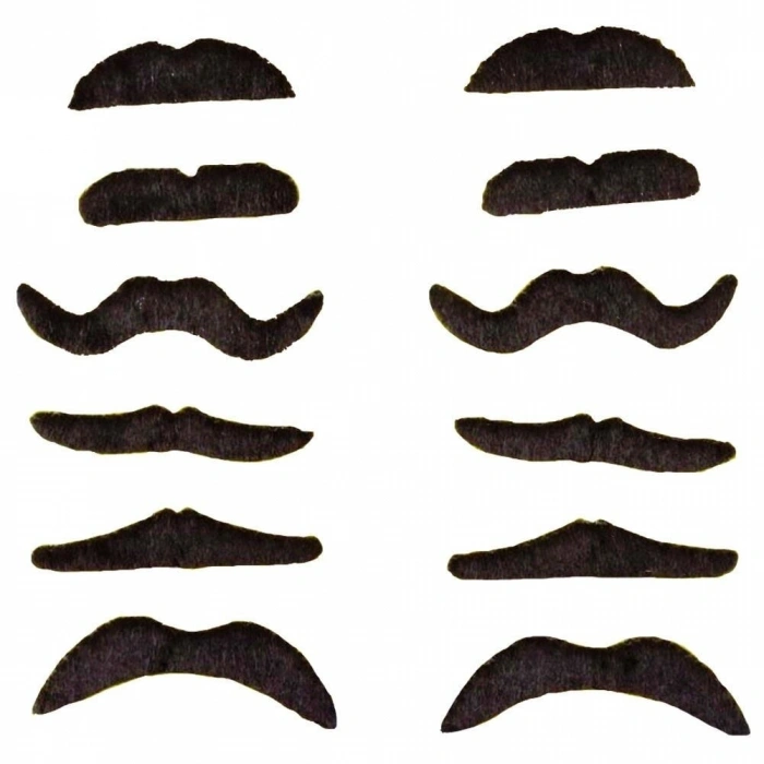 Yapışkanlı Takma Bıyık 6 Model 12 Adet Set