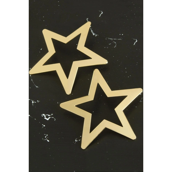 Yıldız Yeni Sezon Metal Küpe