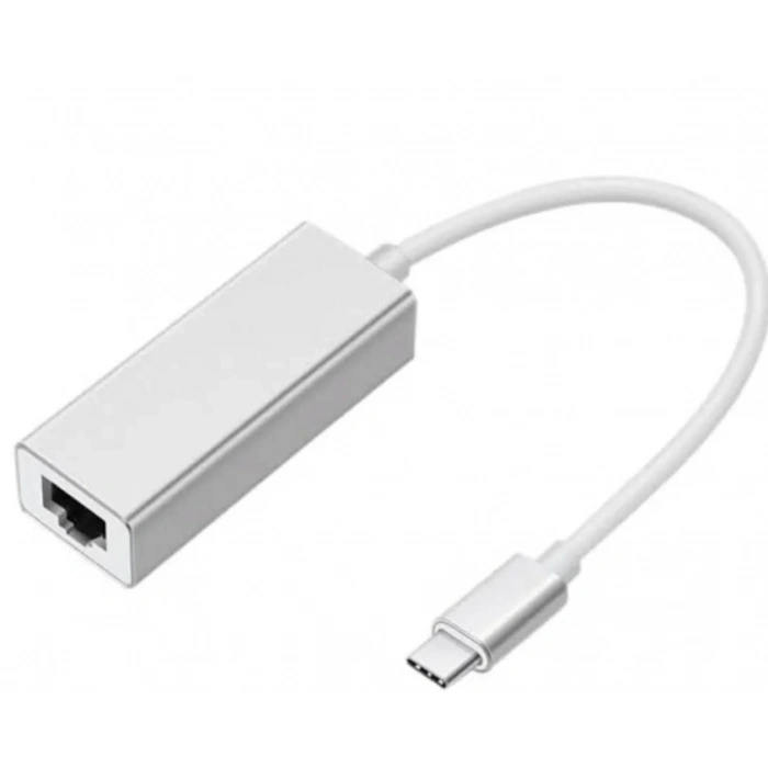 ZR117 Type-C Ethernet Metal Çevirici