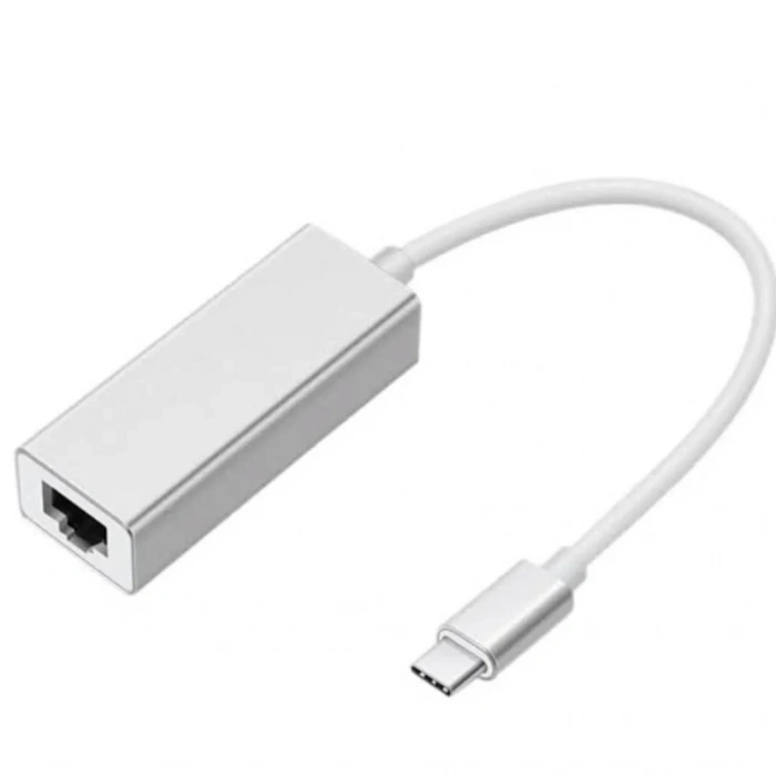 ZR117 Type-C Ethernet Metal Çevirici