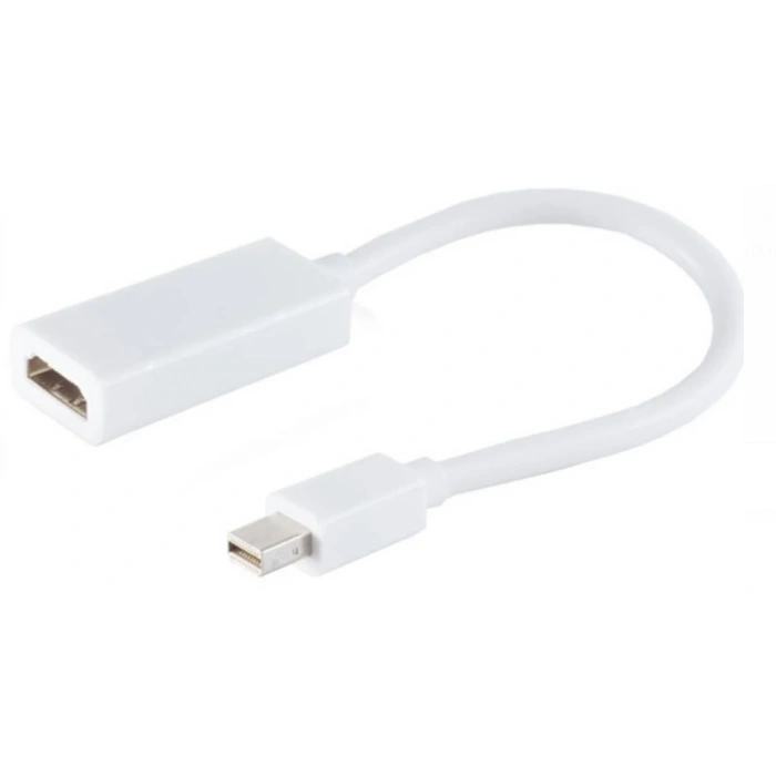 ZR138 Mini Dp Hdmı Çevirici Kablo 30 Cm