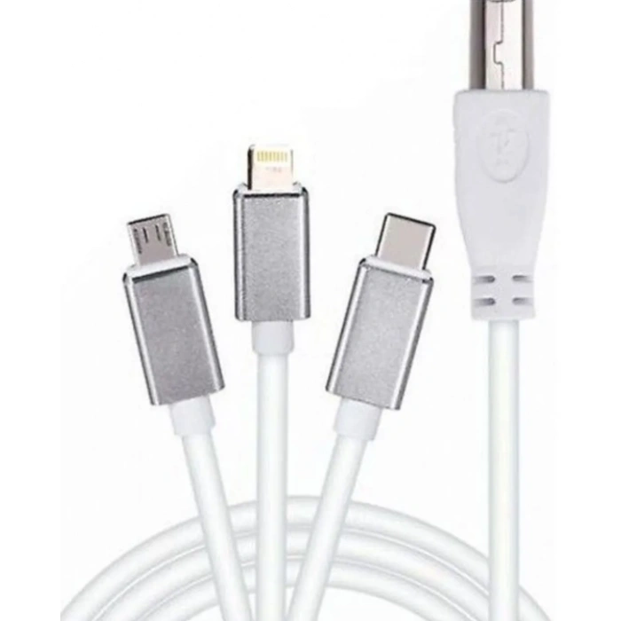 ZR362 Ads 501 Type-C 3 İn 1 Yazıcı Kablosu