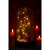 Yeni Yıl Hediye Led Işıklı Fanus İçinde 2 Çam Ağacı ve Hediye Temalı Noel Yılbaşı Gece Lambası