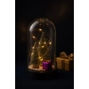 Yeni Yıl Hediye Led Işıklı Fanus İçinde 2 Çam Ağacı ve Hediye Temalı Noel Yılbaşı Gece Lambası