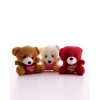 3 Adet Sevimli Mini Ayıcıklar Hediyelik Anahtarlık Set