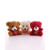 3 Adet Sevimli Mini Ayıcıklar Hediyelik Anahtarlık Set