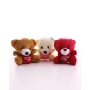 3 Adet Sevimli Mini Ayıcıklar Hediyelik Anahtarlık Set