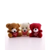 3 Adet Sevimli Mini Ayıcıklar Hediyelik Anahtarlık Set