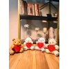 4 Adet Sevimli Mini Peluş Ayıcık - Kalpli I Love You Mesajlı 11x9 cm