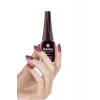5 Adet Keratinli Besleyici Oje 14 ml SET10
