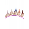 5 Adet Keratinli Besleyici Oje 14 ml SET5