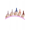 5 Adet Keratinli Besleyici Oje 14 ml SET5