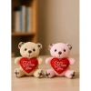 2 Adet Sevimli Mini Peluş Ayıcık - Kalpli I Love You Mesajlı 11x9 cm