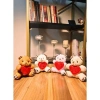 4 Adet Sevimli Mini Peluş Ayıcık - Kalpli I Love You Mesajlı 11x9 cm