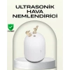 Abs+pp Malzemeli Taşınabilir 220 ml Usb Mist Nemlendirici