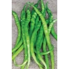 Acı Kıl Biber Tohumu 10 Gr