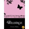 Bildirge