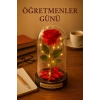 Canım Öğretmenim Temalı  Öğretmene Hediye Led Işıklı Mika Fanus Kırmızı Yapma Solmayan Gül