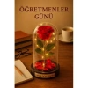 Canım Öğretmenim Temalı Öğretmene Hediye Led Işıklı Mika Fanus Kırmızı Yapma Solmayan Gül