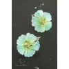 Çiçek Plastik Klipsi Küpe