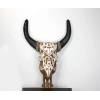 Duvara Asmalı Bufalo Kafası
