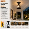 E27 60W IP44 Siyah Set Üstü Bahçe-Balkon Sokak Lambası