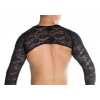 Erkek  Fantezi Dantel Crop