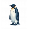 Erkek Survivor Penguin Baskılı 3 İplik Pamuklu Kapüşonlu Sweatshirt Hoodie Beyaz