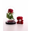 Fanusta Led Işıklı Kırmızı Gül ve Kırmızı Mini Ayıcık Set Sevgiliye Hediye 01W