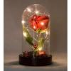 Fanusta Led Işıklı Kırmızı Gül ve Mini Ayıcık Set Sevgiliye Hediye 01A