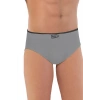MARSİLYAN™ GRİ MI  2109 Erkek Slip