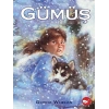 Gümüş