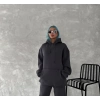 Kapüşonlu Üç İplik Penye Basic SweatShirt - Füme -