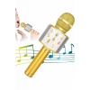 Karaoke Mikrofon Dahili Hoparlörlü Sd-usb-aux Girişli Bluetooth Hoparlör