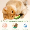 Kedi Çimi Avokado Catnip 360 Derece Dönen Kedi Nanesi Oyuncağı