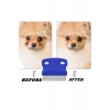 Kedi Köpek Tüy Bit Pire Toplayıcı Toplama Temizleme Tarağı Tarak Seti 4lü Set