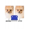 Kedi Köpek Tüy Bit Pire Toplayıcı Toplama Temizleme Tarağı Tarak Seti 4lü Set