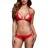 Kırmızı Dantelli Fantezi Sütyen G String Külot Takımı