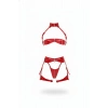 Kırmızı Jartiyer Harness Parlak Deri Fermuarlı Takım - Brf1373