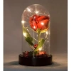 Led Işıklı Fanus İçinde Kırmızı Yapay Gül