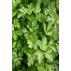 Maydanoz Tohumu 25 Gr