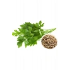 Maydanoz Tohumu 25 Gr