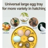Mini Otomatik Ev Tipi Kuluçka: Elektrikli Tavuk Ve Kuş Kuluçka Makinesi 6 Yumurtalı Mx-6