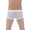 MODLİVE Don Moris DM291125 Transparan Boxer