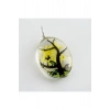 Oval Canlı Kolye Ucu 3 cm